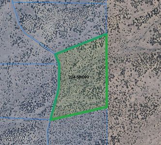 99 Woodland Valley Rnch, Saint Johns, AZ, 85936