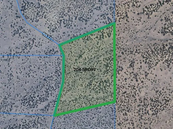 99 Woodland Valley Rnch, Saint Johns, AZ 85936