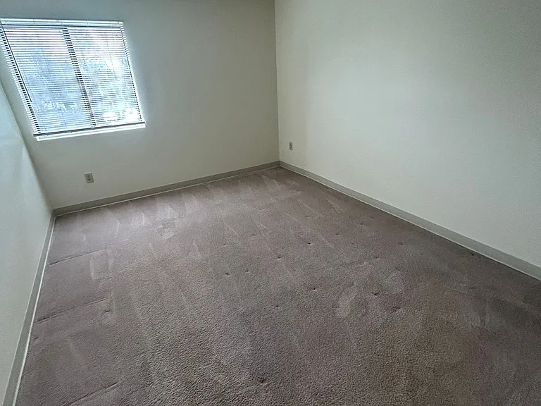 Webster Commons — Photo 26