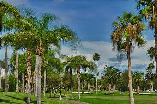 3rd image of 6171 Bahia Del Mar Blvd APT 117