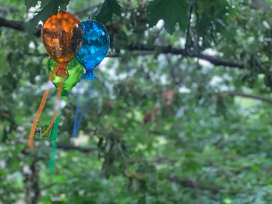 Rented by A P Realty Group NY LTD | media 19