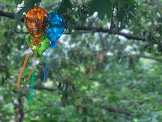 Rented by A P Realty Group NY LTD