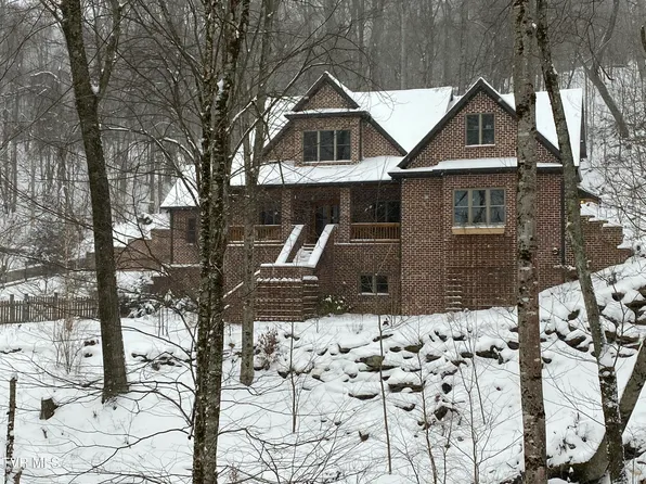 117 Toms Creek Dr, Roan Mountain, TN 37687