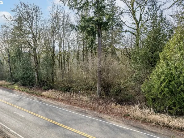 Bond Rd, Castle Rock, WA 98611