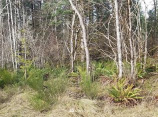 314 W 2nd St, Elma, WA 98541