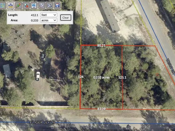 40 E Tiger Lily Ln, Defuniak Springs, FL 32433