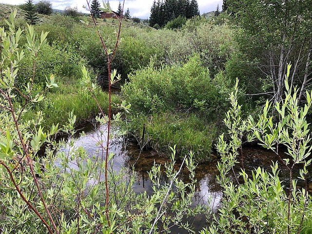 1st image of 561 & 589 County Road 192