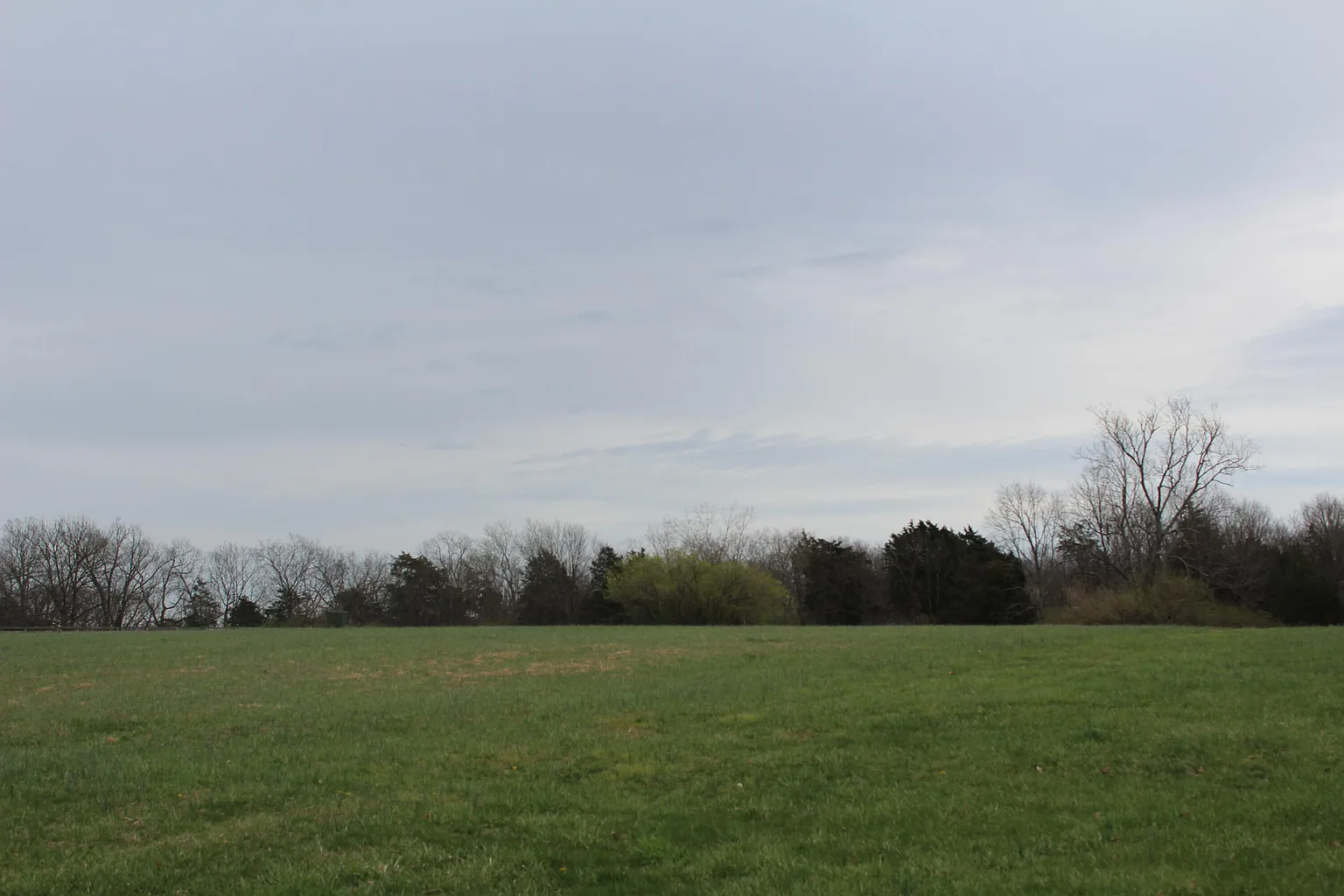609 Sarah Blake Ln photo 1