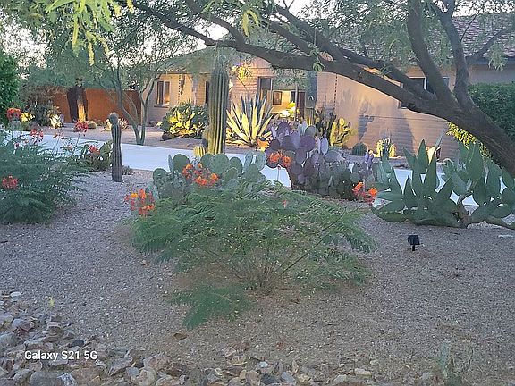 Front Garden at twilight