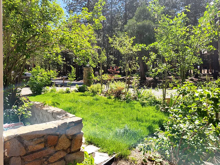 Front Yard