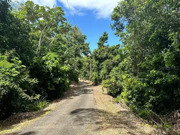 Road Prairie Km #140-34.2, Utuado, PR 00641