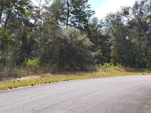25 Heuchera Ct E, Homosassa, FL 34446
