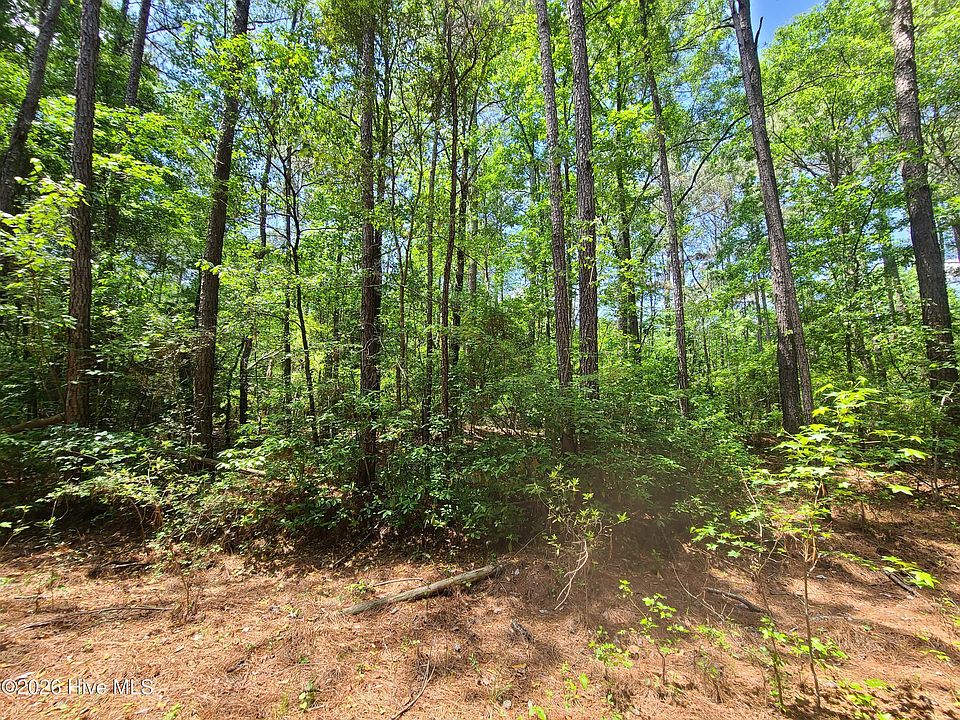 1st image of 55 Mable St Lot 55