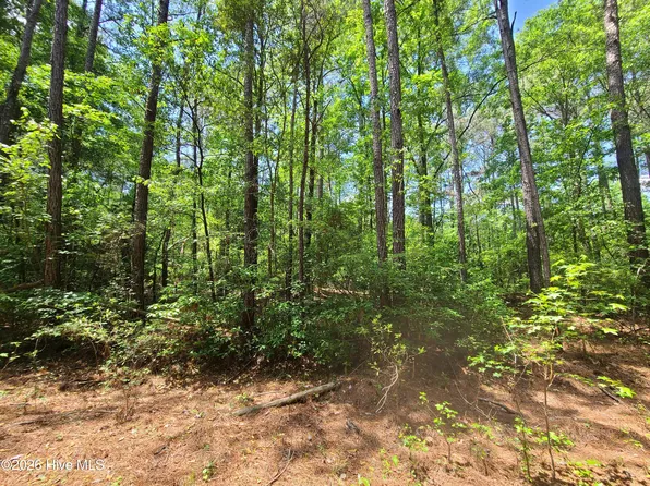55 Mable St Lot 55, Kinston, NC 28504