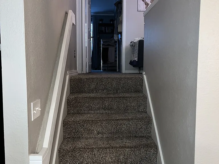 Wolf St — Photo 11