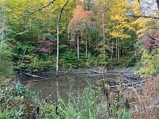 2nd image of 1001 Wilber Rd