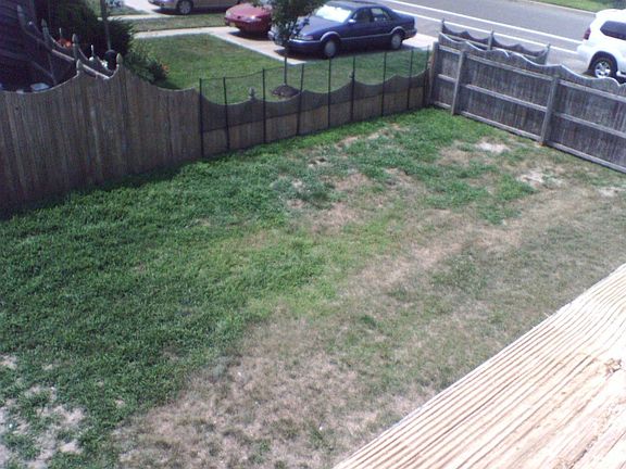 backyard view from upstairs balcony