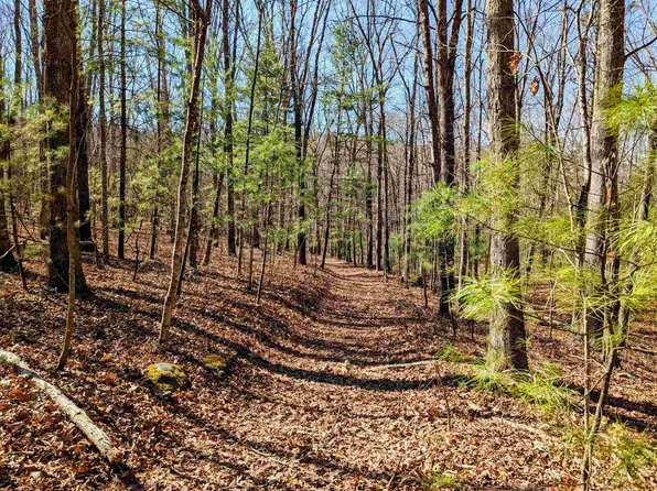 Pres Jackson Rd, Max Meadows, VA 24360
