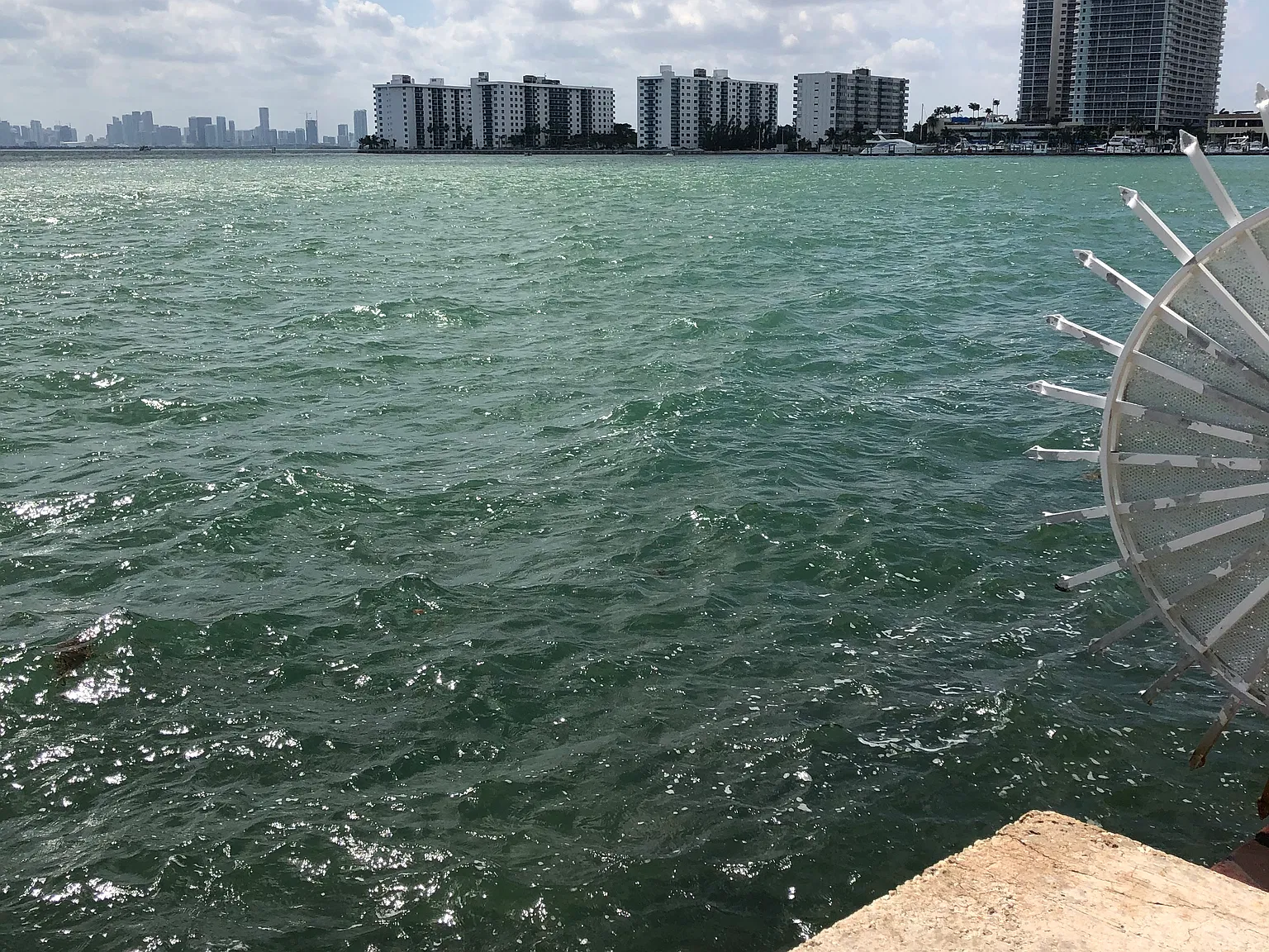 2 bed, 950 sqft, $2,000 — Photo 2