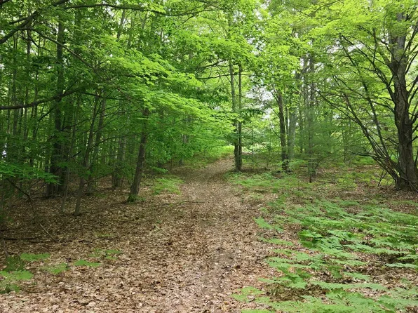 3982 Mitchell Rd SE, Kalkaska, MI 49646