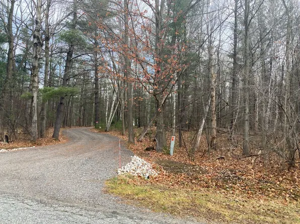 5130 N Geneva Rd, Coleman, MI 48618