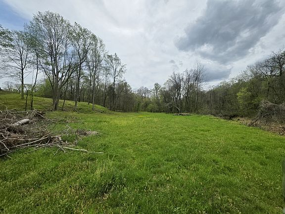 4th image of 0 Old Highway 48 Lot 12