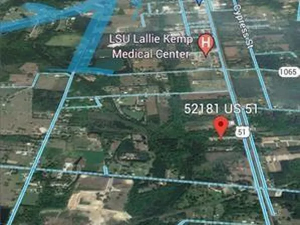 52181 Highway 51 S, Independence, LA 70443