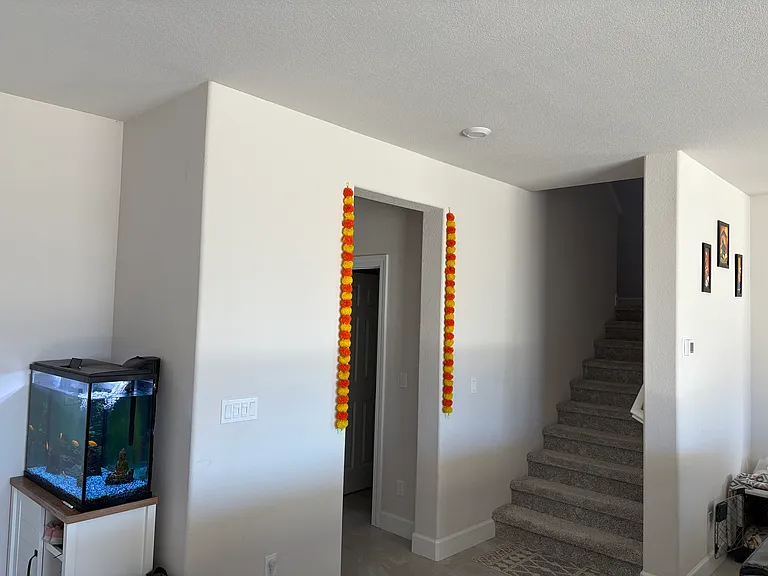 4823 Black Walnut Dr — Photo 11