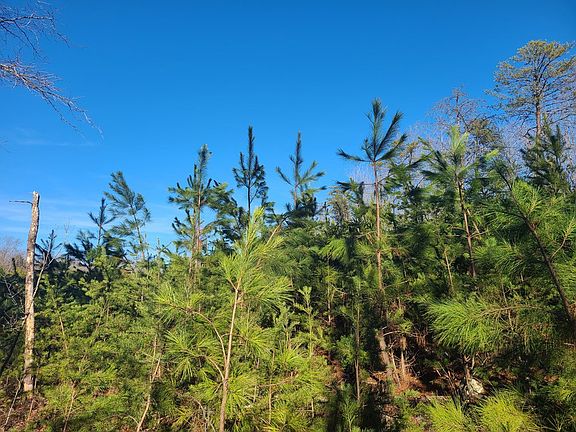 5th image of Woodline Dr