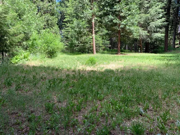 7120 Stacy Ln, Pollock Pines, CA 95726