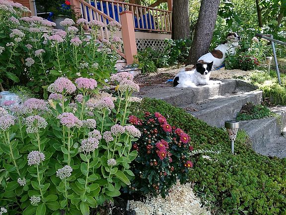 front gardens stairs