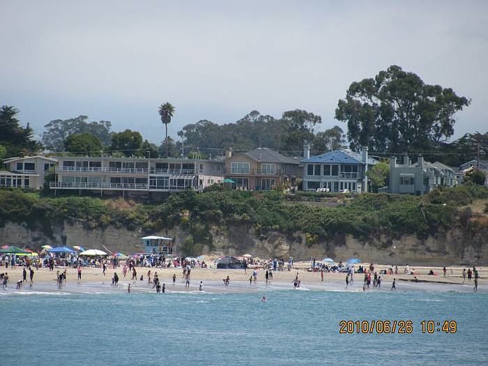 from the wharf
