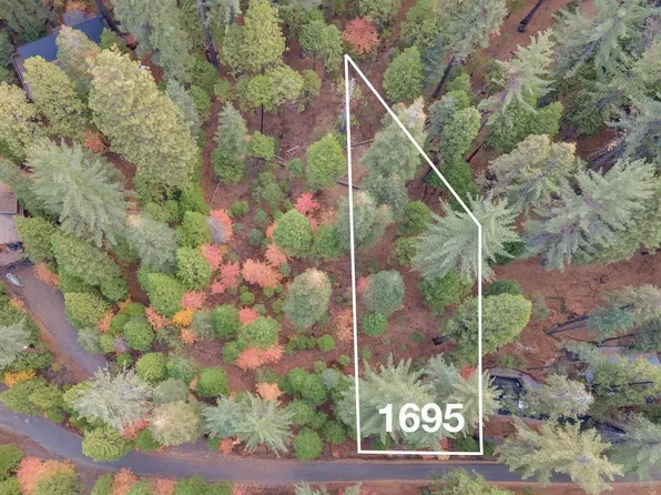 1695 Manzanita Dr, Arnold, CA 95223