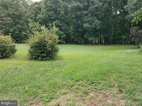 5th image of 7014 Dalemar Dr