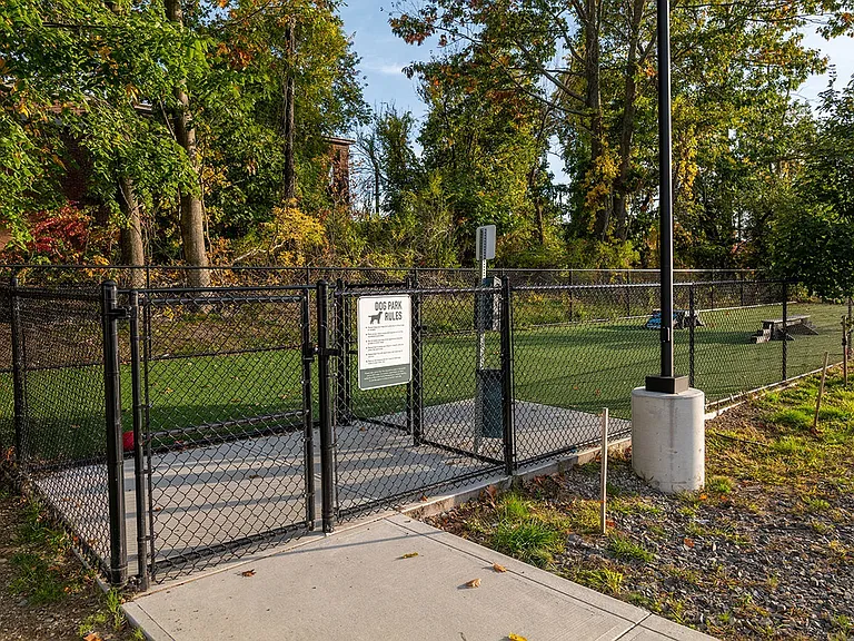 Dog Park