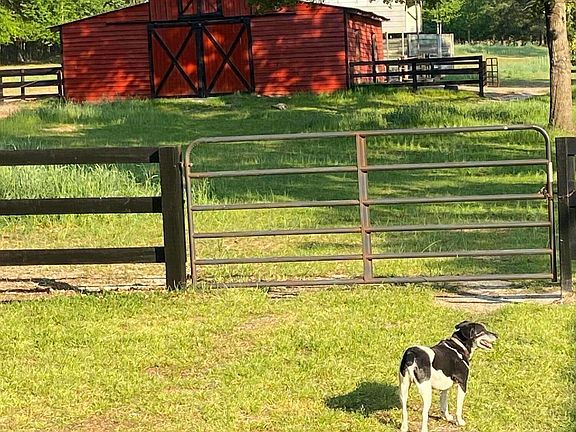 2nd image of 449 Montrose Road