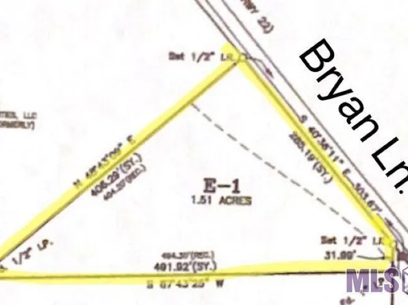 15654 Bryan Ln, Maurepas, LA 70449