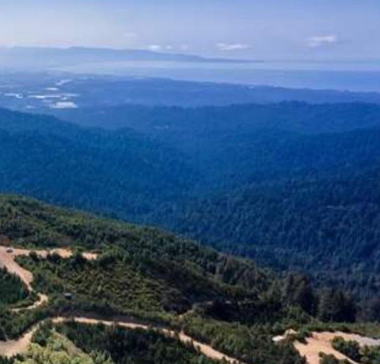 1st image of 0 Ormsby Cut Off Rd