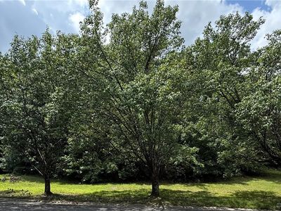 3832 Goodell Rd, Richmond, VA, 23223