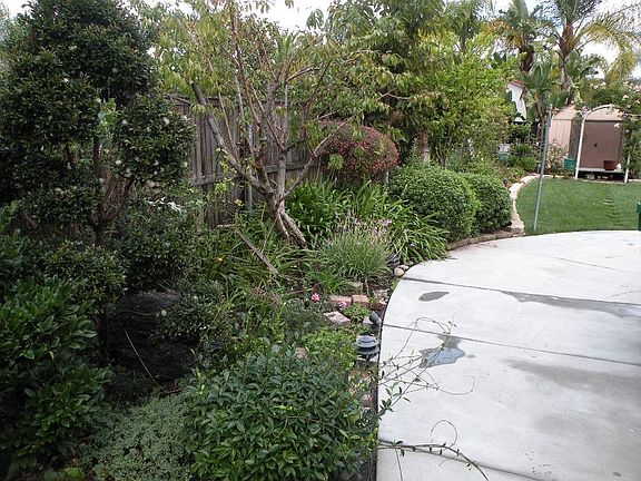Fruit trees, grass areas and Gardener svc included