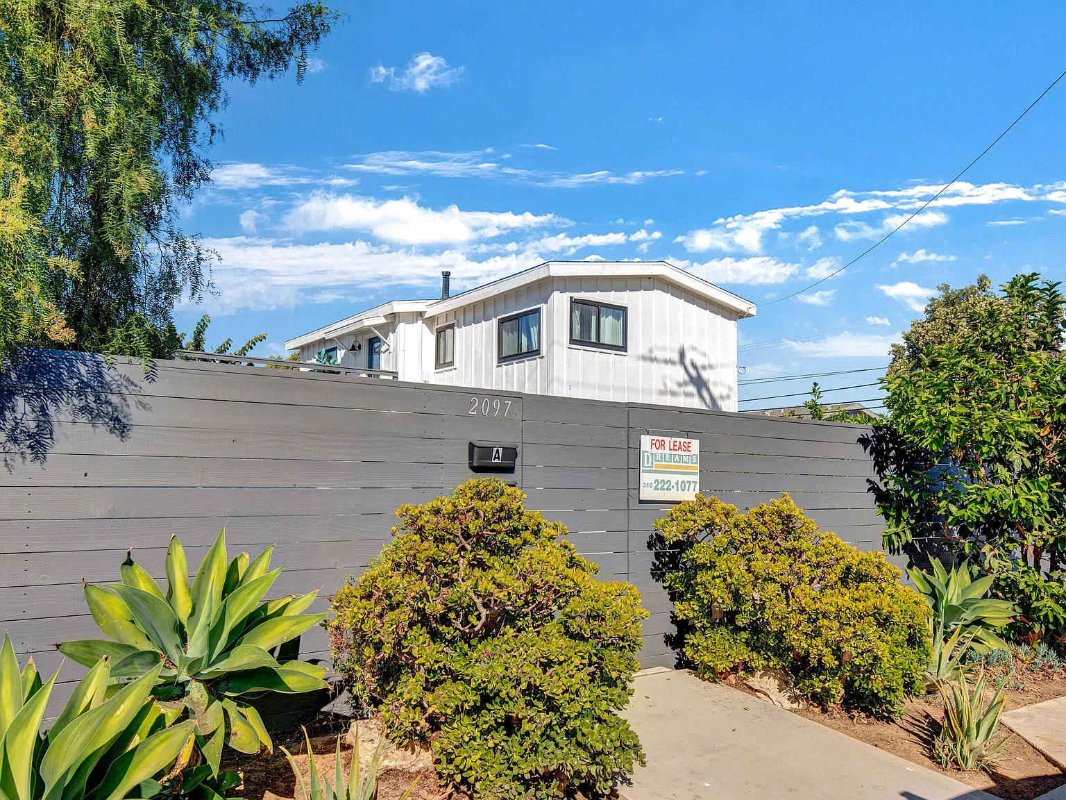 3 bed, 1000 sqft, $4,500 — Photo 3