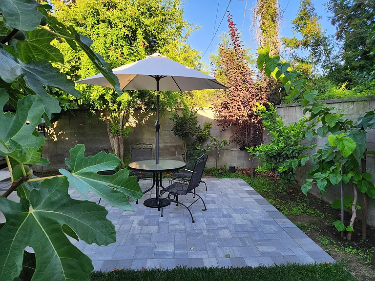 Beautiful lush green backyard