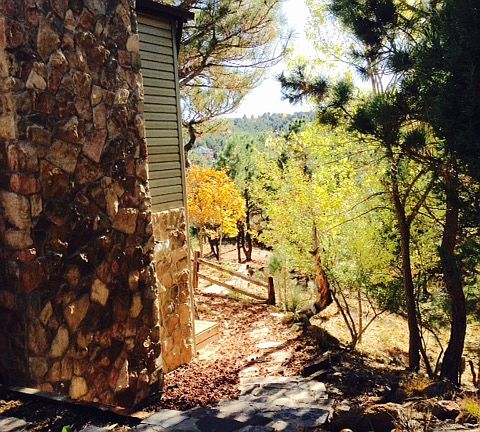 View into the Rear Yard