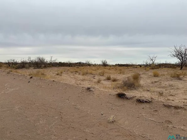 Calle Del Monte SW, Deming, NM 88030