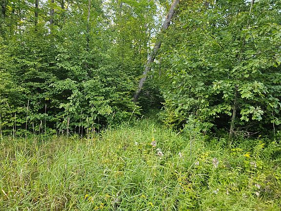 5th image of LOT 3 Woodlands Rd