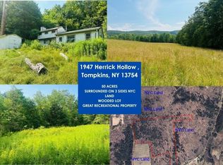 1947 Herrick Hollow Rd, Sidney Center, NY 13839