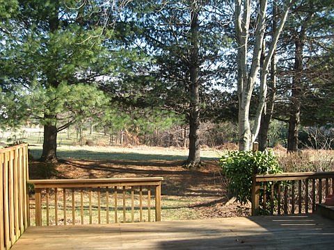 Back yard is open field