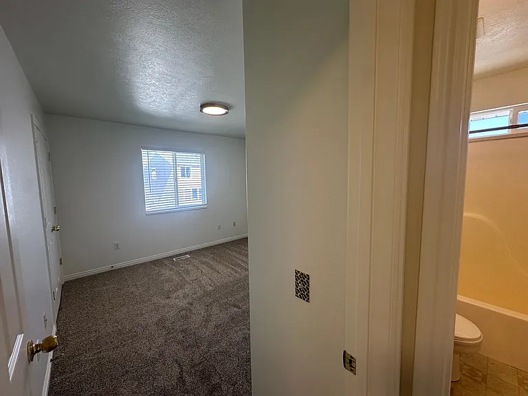 2511 Goodnight Dr — Photo 54