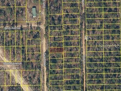 2nd image of Park St Lot 16