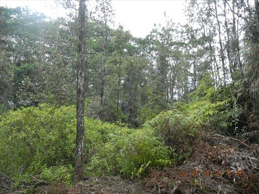 3rd image of 25th Ave Lot 84
